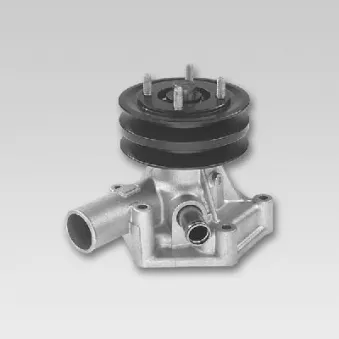Pompe à eau HEPU P1721