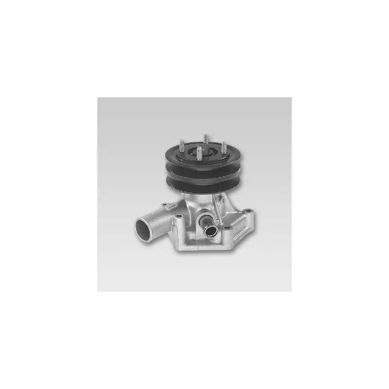 Pompe à eau HEPU P1721