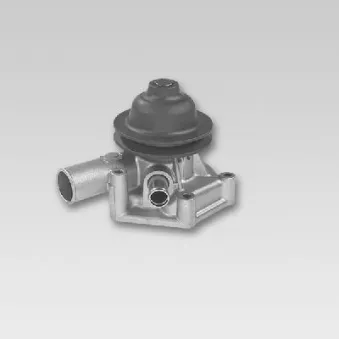 Pompe à eau HEPU P1727
