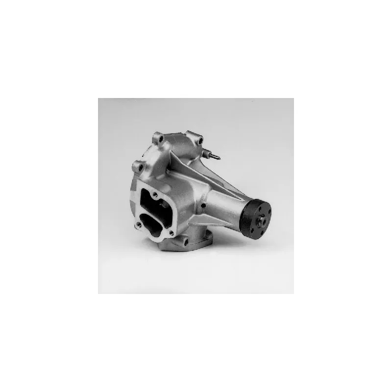 Pompe à eau HEPU P178