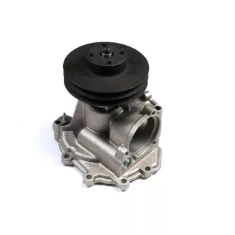 Pompe à eau HEPU P179