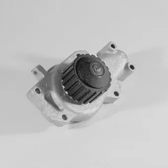Pompe à eau HEPU P203