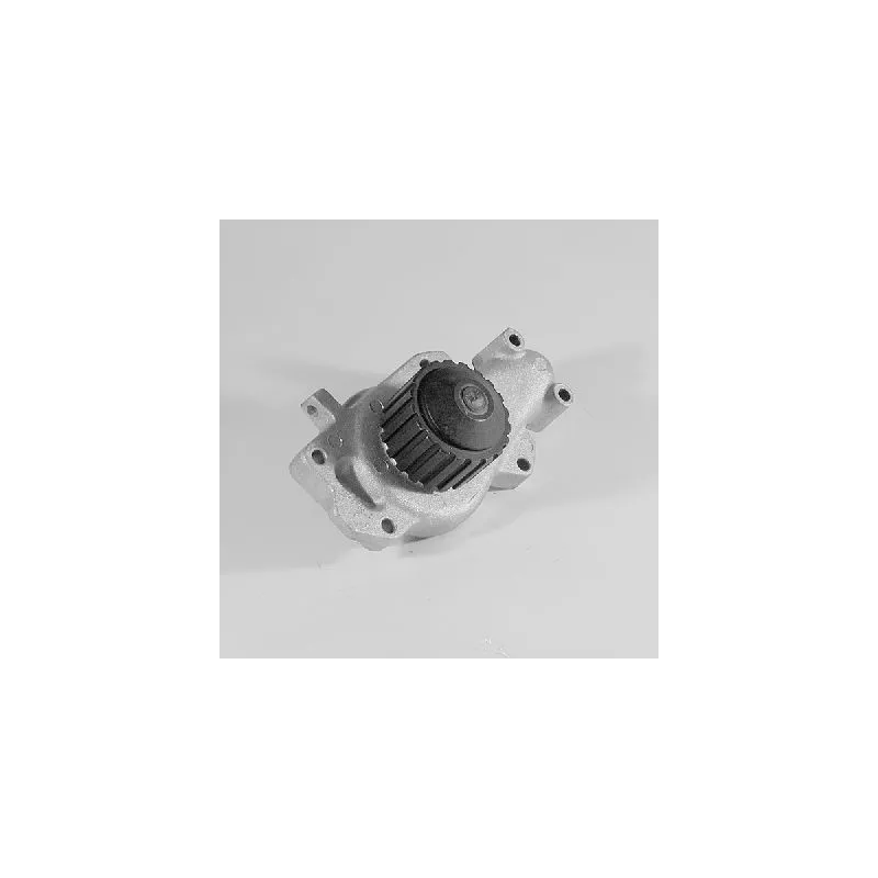 Pompe à eau HEPU P203
