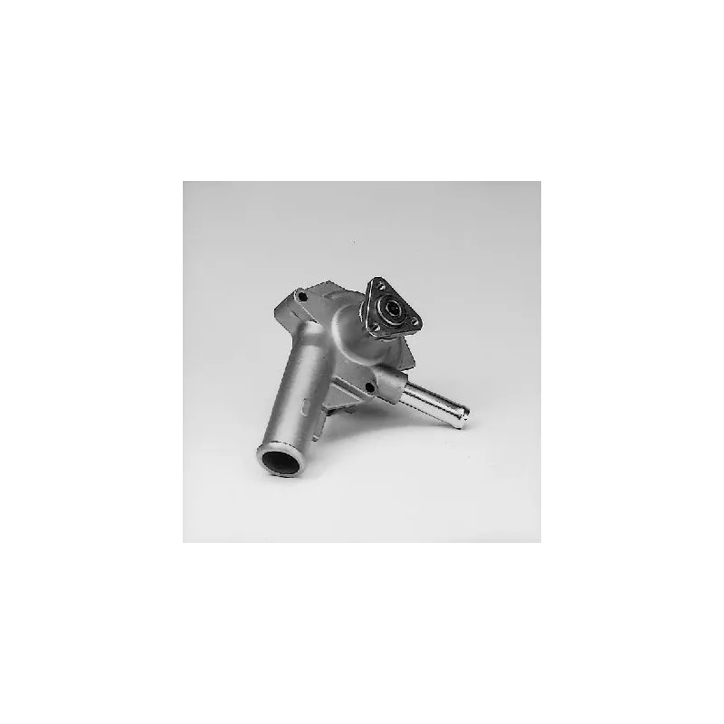 Pompe à eau HEPU P204