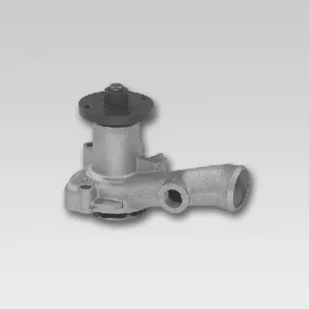 Pompe à eau HEPU P213