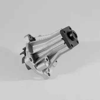 Pompe à eau HEPU P220