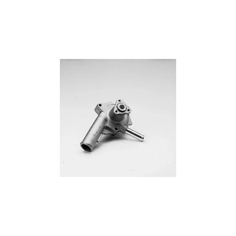 Pompe à eau HEPU P222