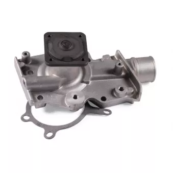 Pompe à eau HEPU P224