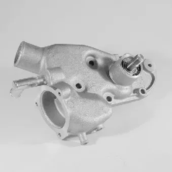 Pompe à eau HEPU P241