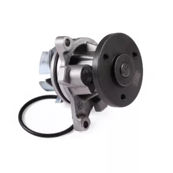 Pompe à eau HEPU P251