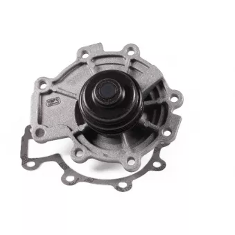 Pompe à eau HEPU P252