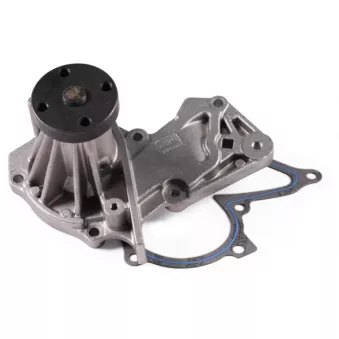 Pompe à eau HEPU P255
