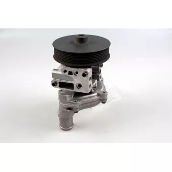 Pompe à eau HEPU P257