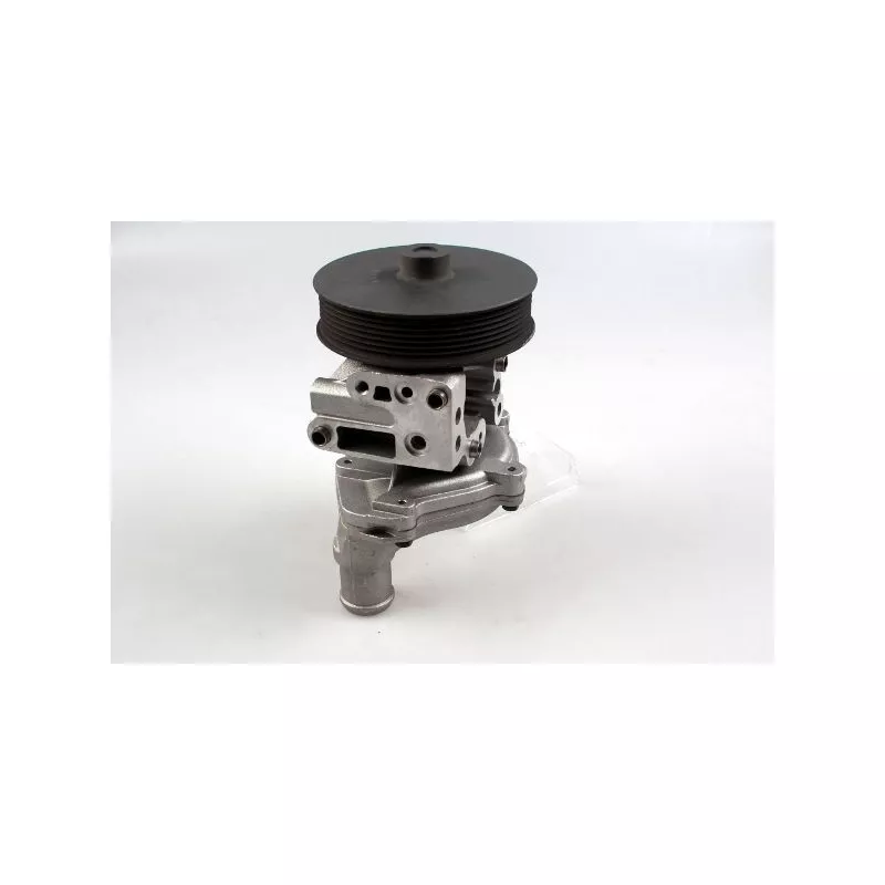Pompe à eau HEPU P257