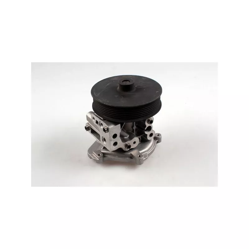 Pompe à eau HEPU P260