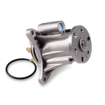 Pompe à eau HEPU P2623