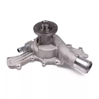 Pompe à eau HEPU P2624