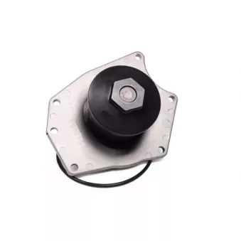 Pompe à eau HEPU P2633
