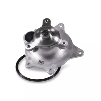 Pompe à eau HEPU P2634