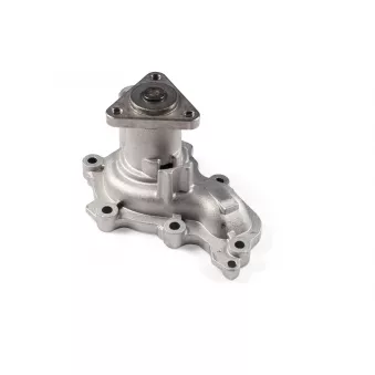 Pompe à eau HEPU P278