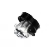 Pompe à eau HEPU P3003M - Visuel 1