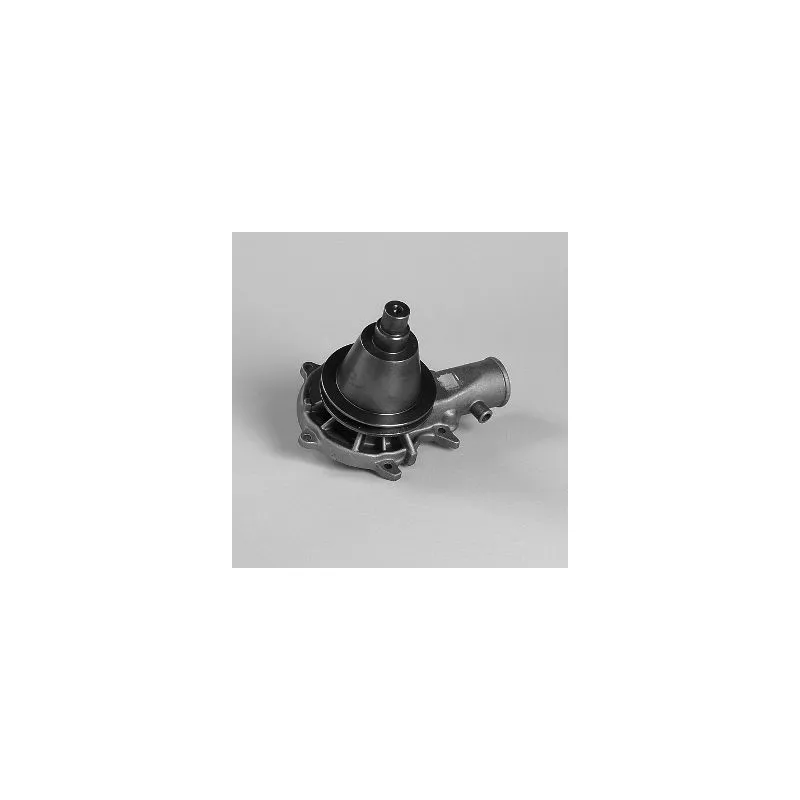 Pompe à eau HEPU P308