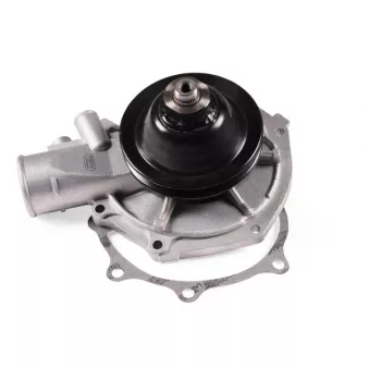Pompe à eau HEPU P309