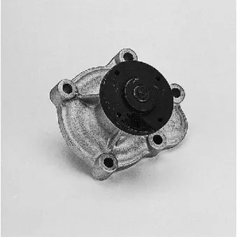 Pompe à eau HEPU P310