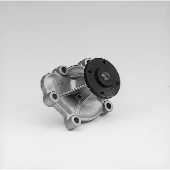 Pompe à eau HEPU P313