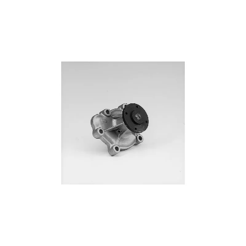 Pompe à eau HEPU P313