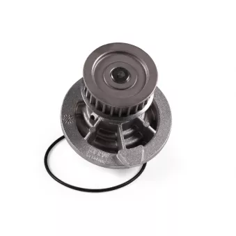 Pompe à eau HEPU P314