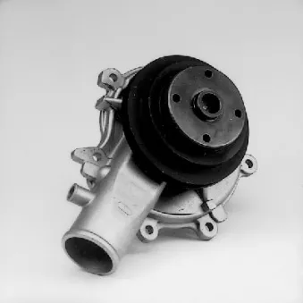 Pompe à eau HEPU P315