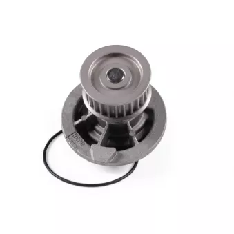 Pompe à eau HEPU P316