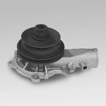 Pompe à eau HEPU P319