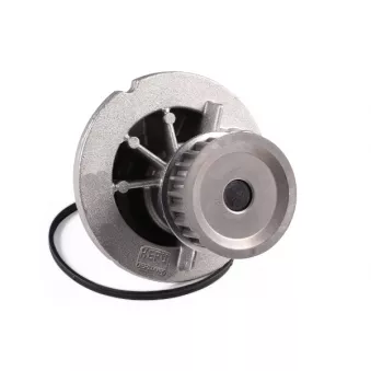 Pompe à eau HEPU P324