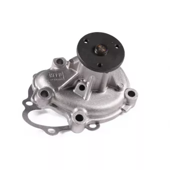 Pompe à eau HEPU P326