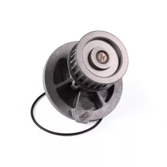 Pompe à eau HEPU P328