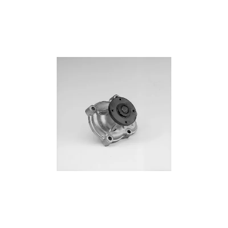 Pompe à eau HEPU P333