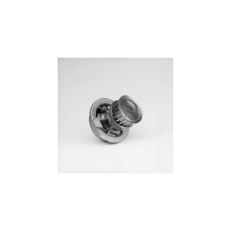 Pompe à eau HEPU P337