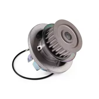 Pompe à eau HEPU P338