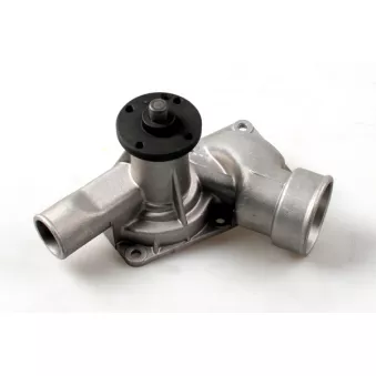 Pompe à eau HEPU P339