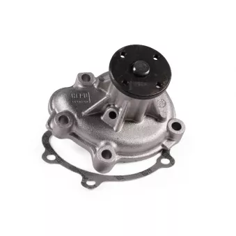Pompe à eau HEPU P341