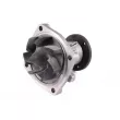 Pompe à eau HEPU P345 - Visuel 2
