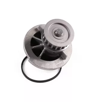 Pompe à eau HEPU P346