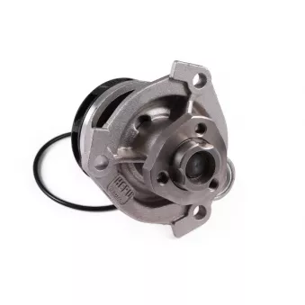 Pompe à eau HEPU P347