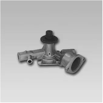 Pompe à eau HEPU P357
