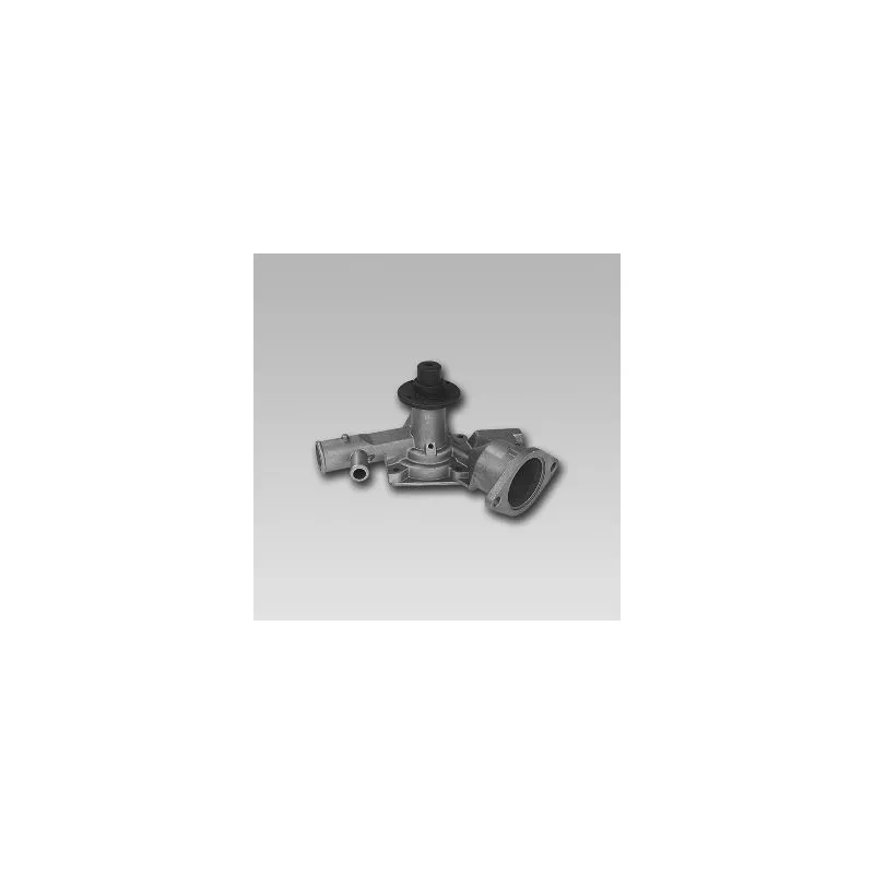 Pompe à eau HEPU P357