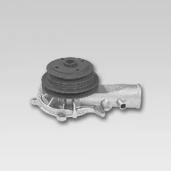 Pompe à eau HEPU P358