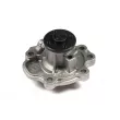 Pompe à eau HEPU P366 - Visuel 1