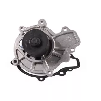 Pompe à eau HEPU P369